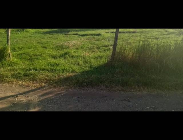 0 BEDROOM HOUSE FOR SALE IN NGWELEZANA